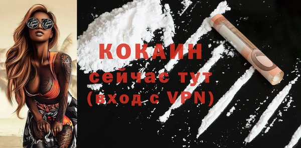 твердый Майский