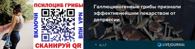 Галлюциногенные грибы Cubensis  продажа наркотиков  Ленинградская 